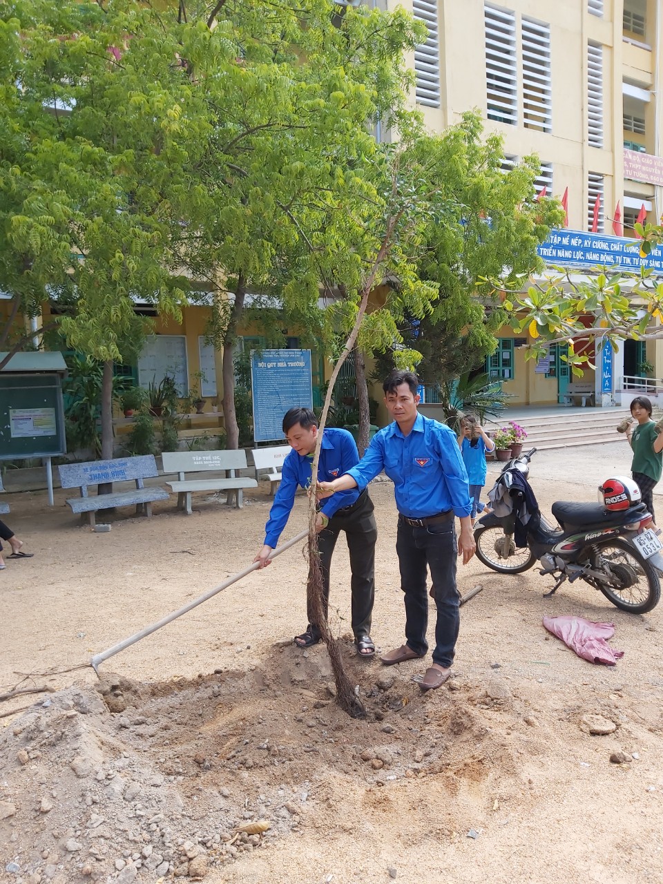 Toàn trường ra quân trồng cây